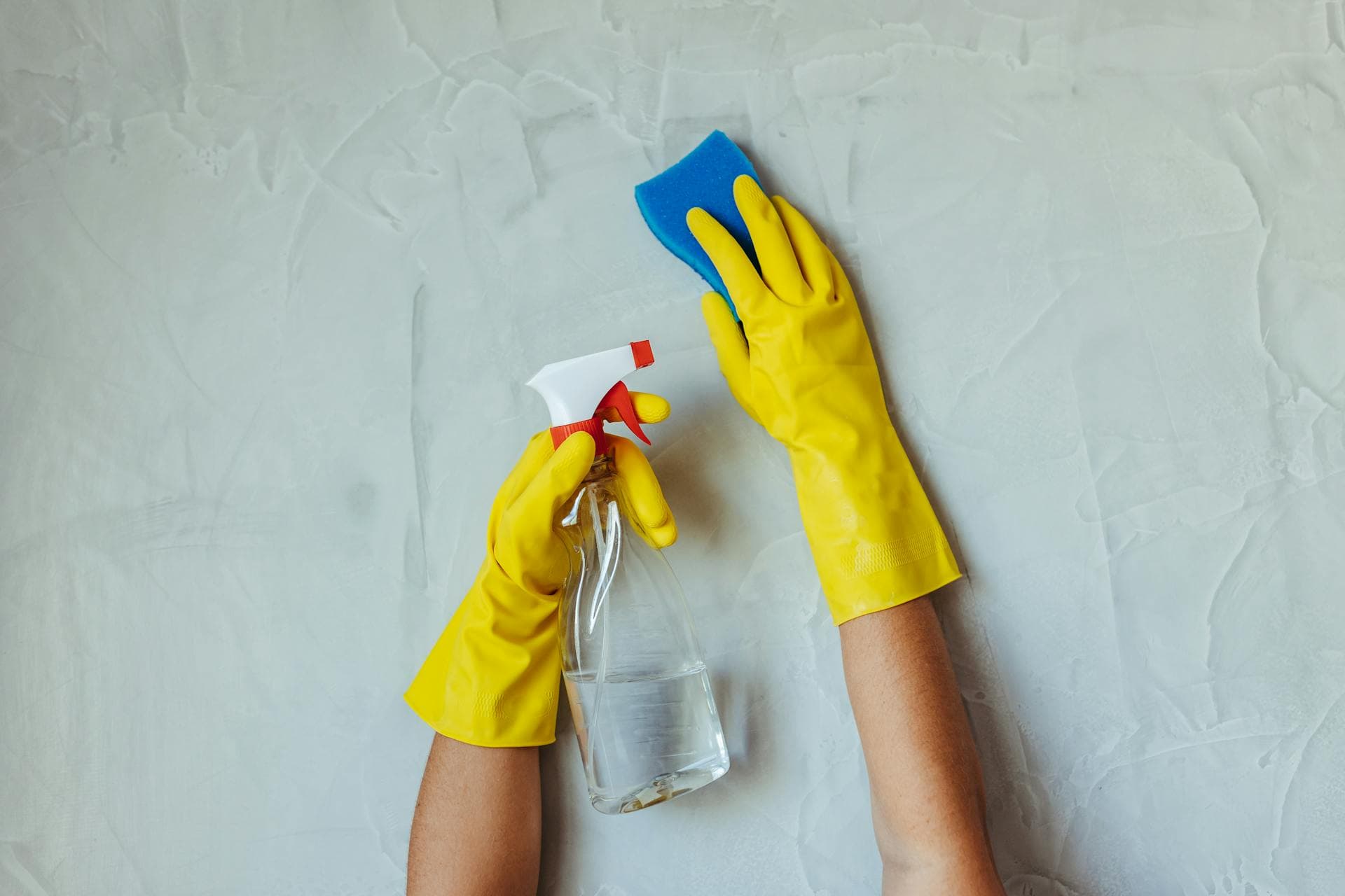 Professional cleaning in progress